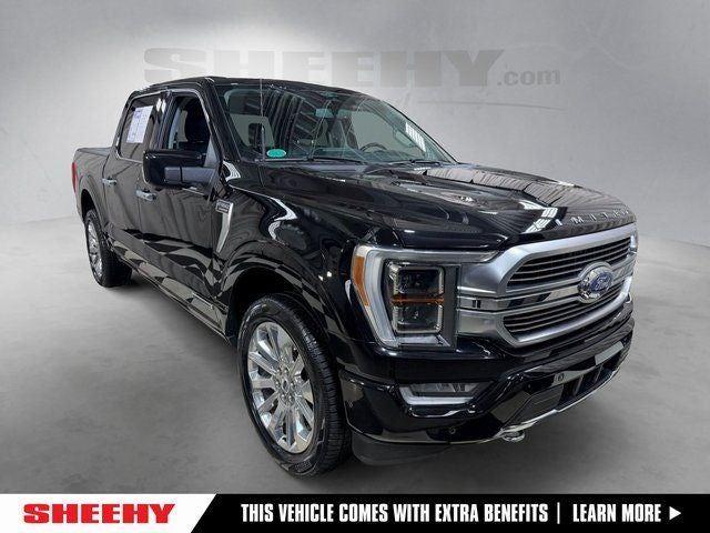2023 Ford F-150 Limited