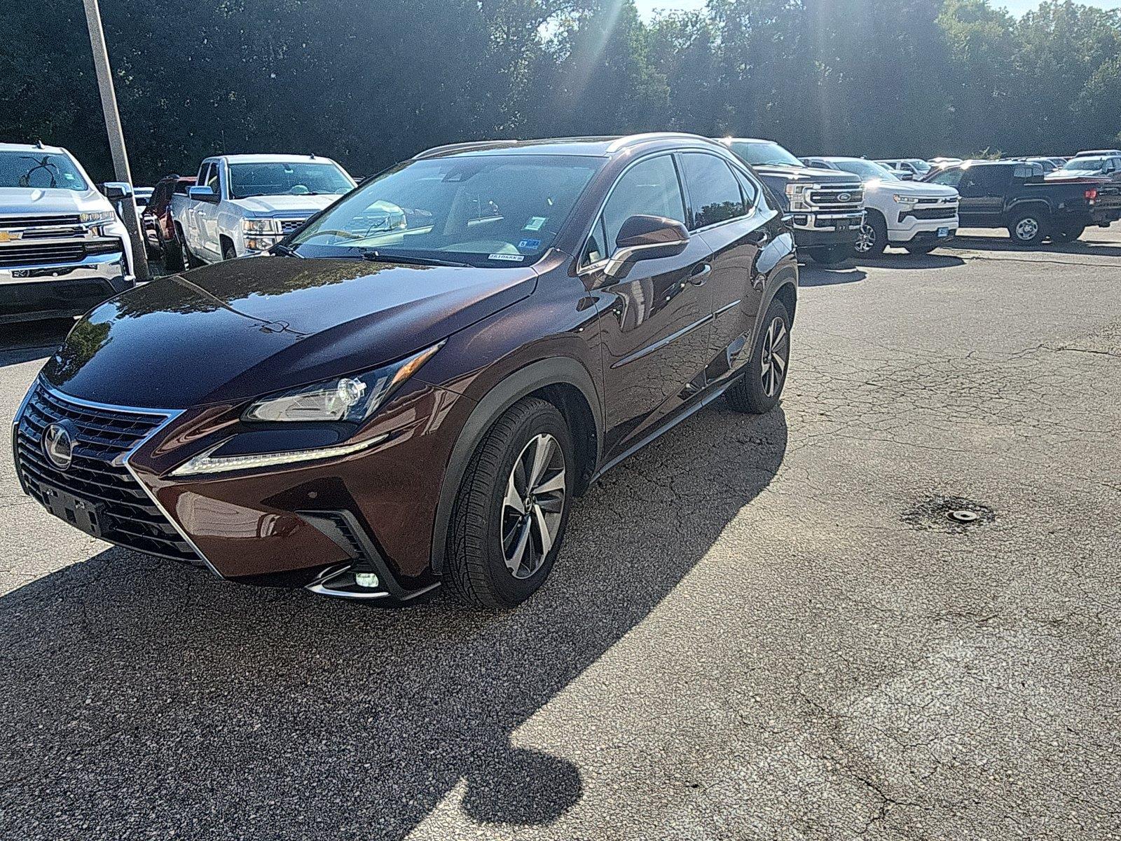 Autumn Shimmer 2019 Lexus NX SUV / Crossover All-Wheel Drive Automatic