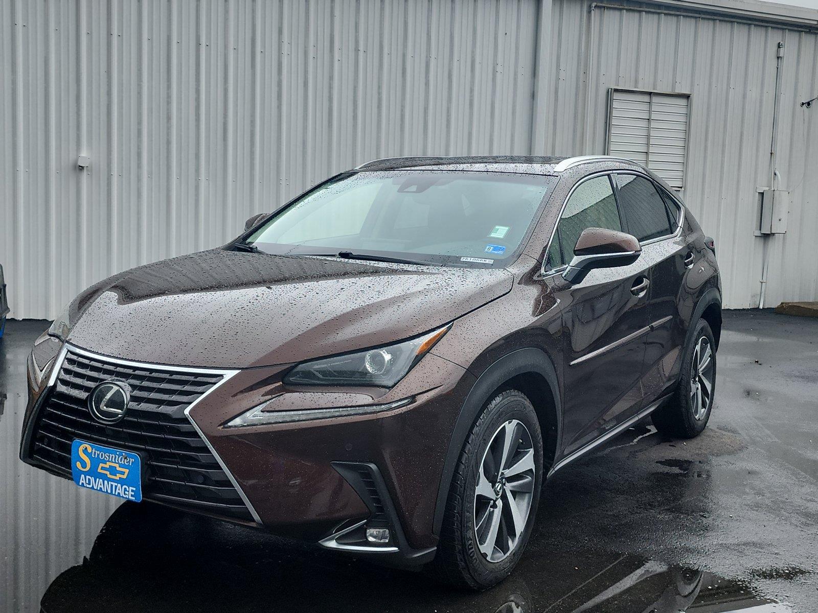Autumn Shimmer 2019 Lexus NX SUV / Crossover All-Wheel Drive Automatic