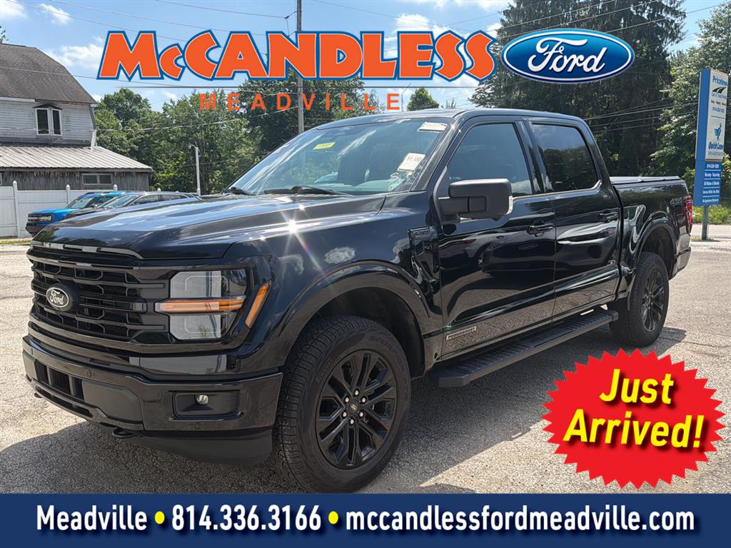 Agate Black 2025 Ford F-150 Pickup Truck Four-Wheel Drive Automatic