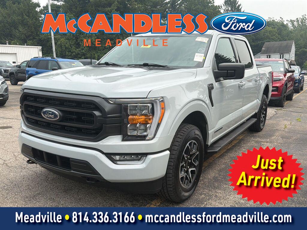 Avalanche Gray 2023 Ford F-150 Pickup Truck Four-Wheel Drive Automatic