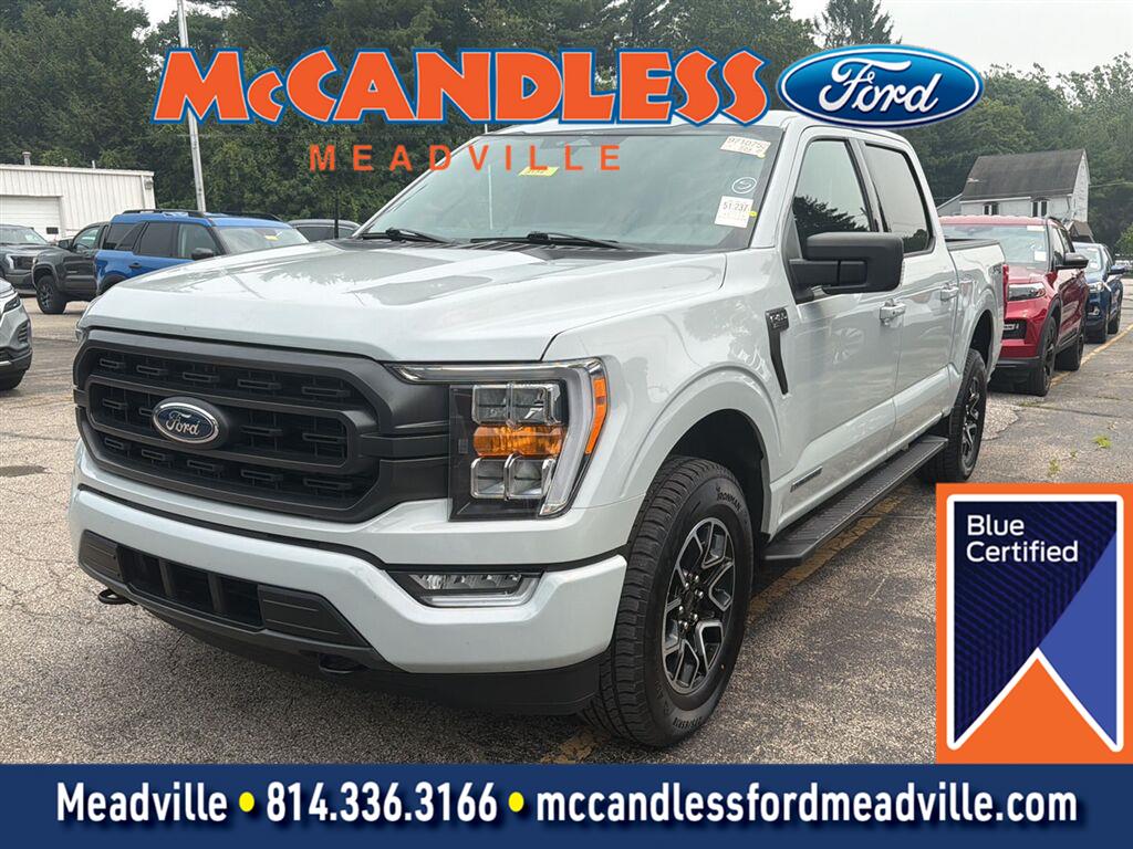 Avalanche Gray 2023 Ford F-150 Pickup Truck Four-Wheel Drive Automatic
