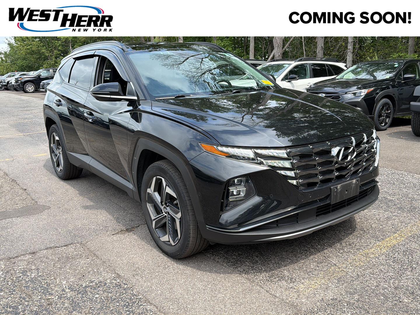  2024 Hyundai Tucson Hybrid Limited AWD   