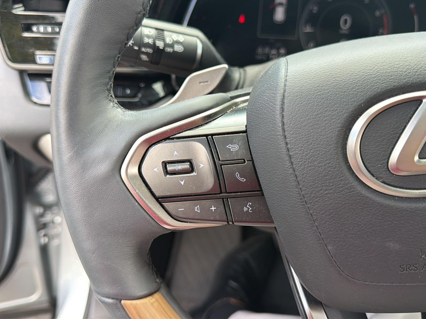 Used 2023 Iridium Lexus RX 350 Premium image 16