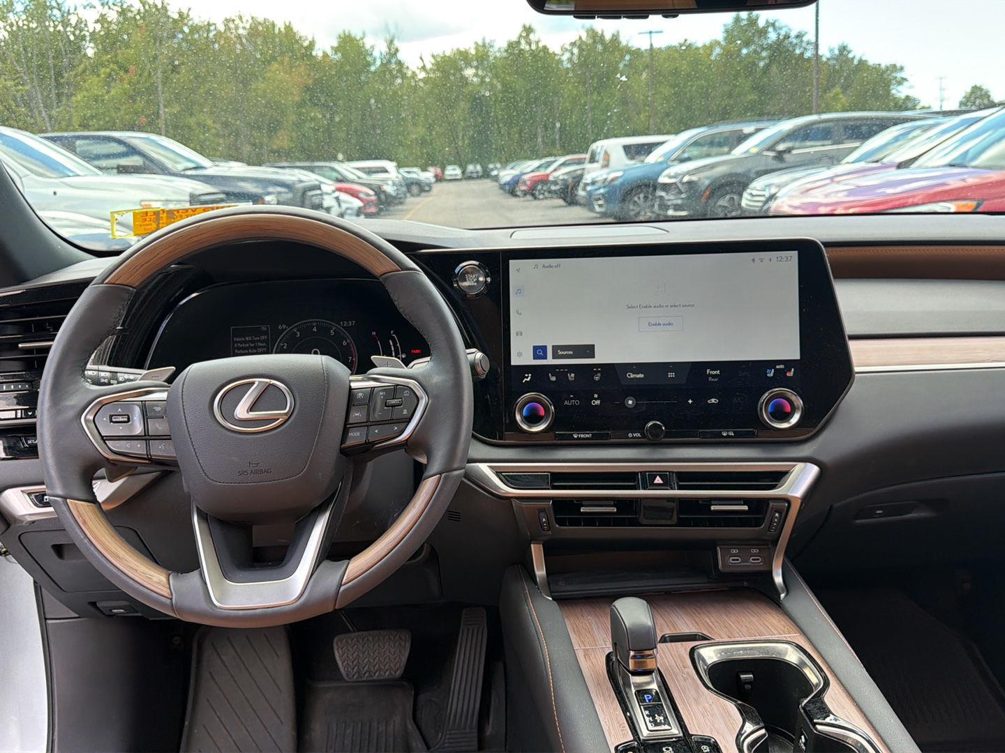 Used 2023 Iridium Lexus RX 350 Premium image 20