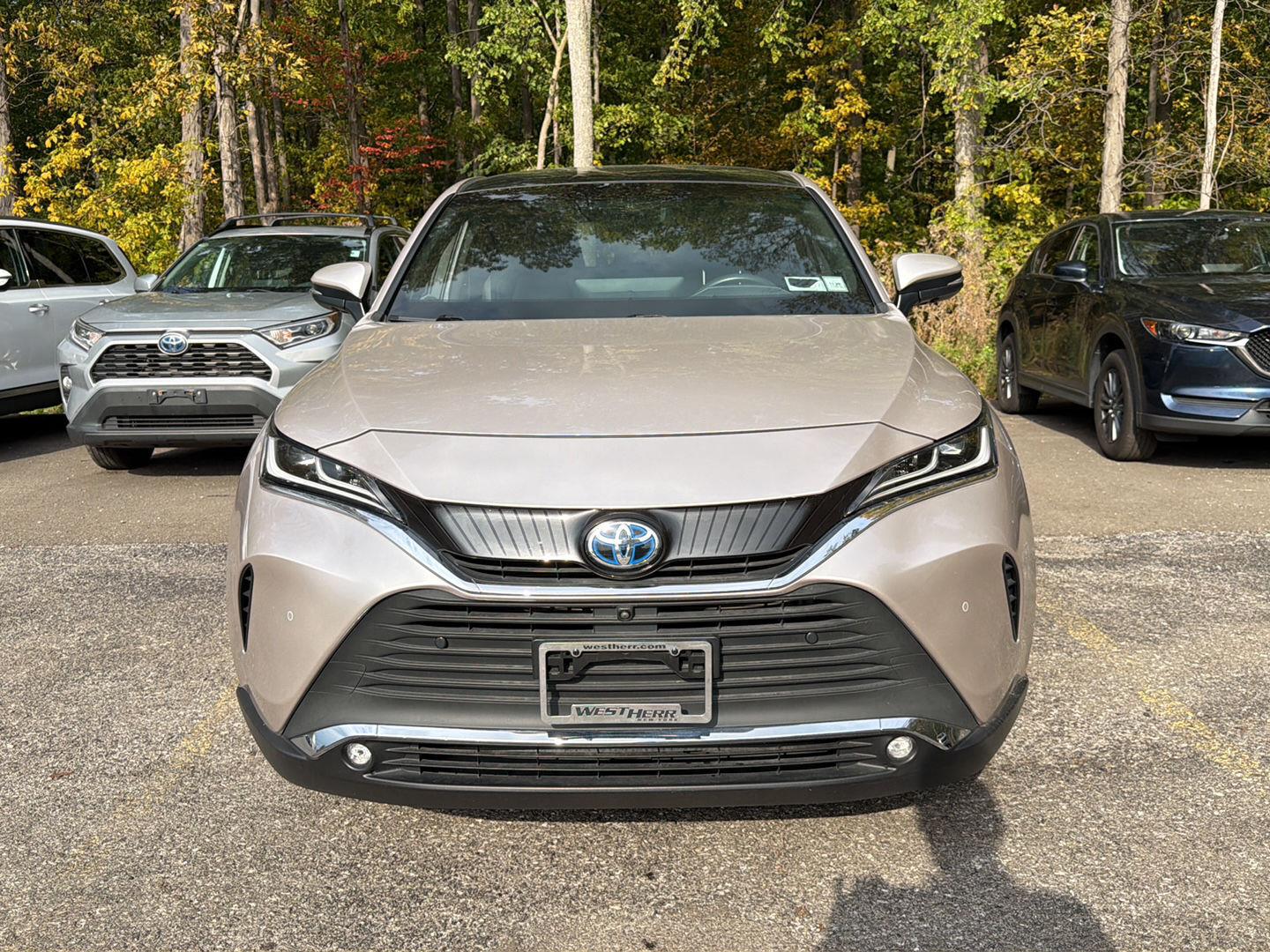 Used 2023 Titanium Glow Toyota Limited image 12