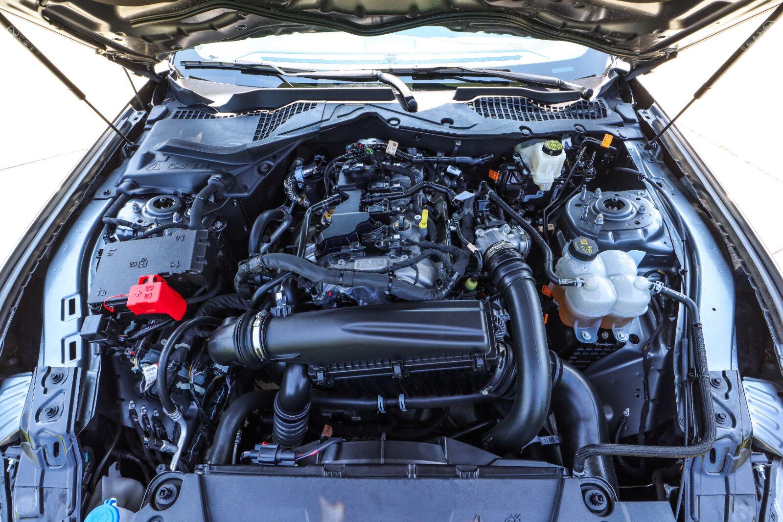 2024 Ford Mustang EcoBoost - Photo 20
