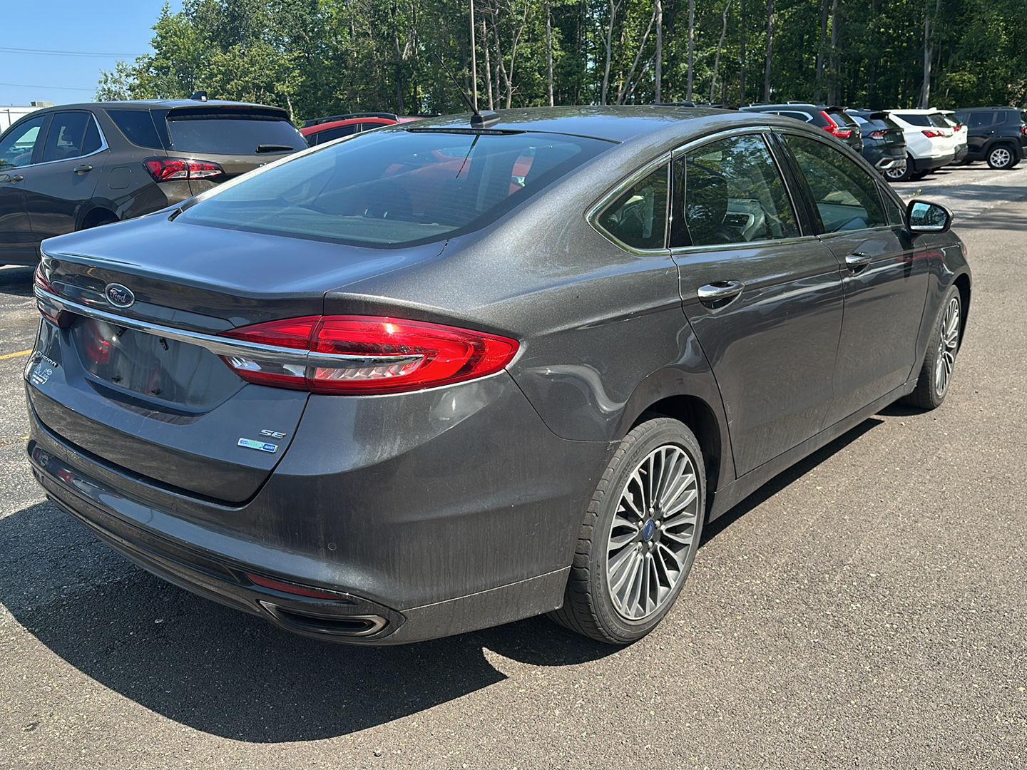 Used 2018 Magnetic Ford SE image 6