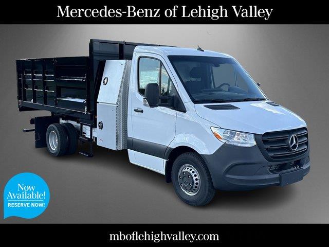 ARCTIC WHITE 2023 Mercedes-Benz Sprinter Cab Chassis Van Rear-Wheel Drive Automatic