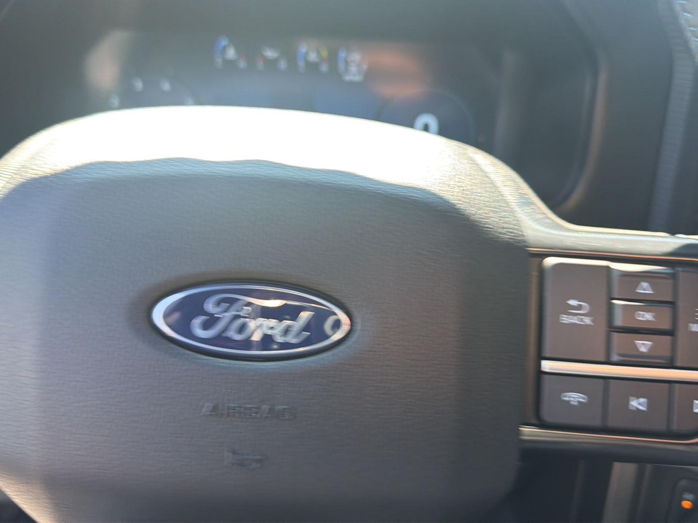 Used 2025 Star White Ford Platinum image 12