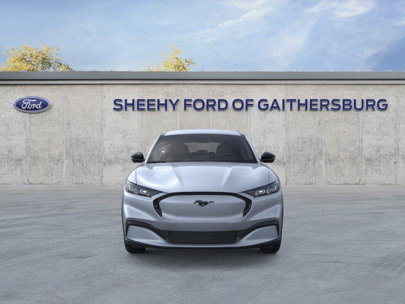 New 2026 Glacier Gray Metallic Tri-coat Ford Select image 6