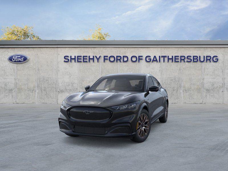 New 2025 Shadow Black Ford Premium image 2