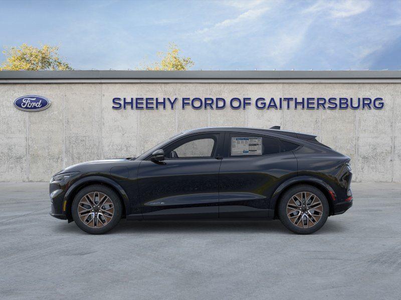 New 2025 Shadow Black Ford Premium image 3