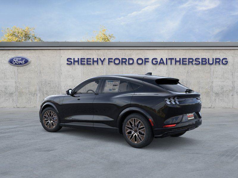 New 2025 Shadow Black Ford Premium image 4