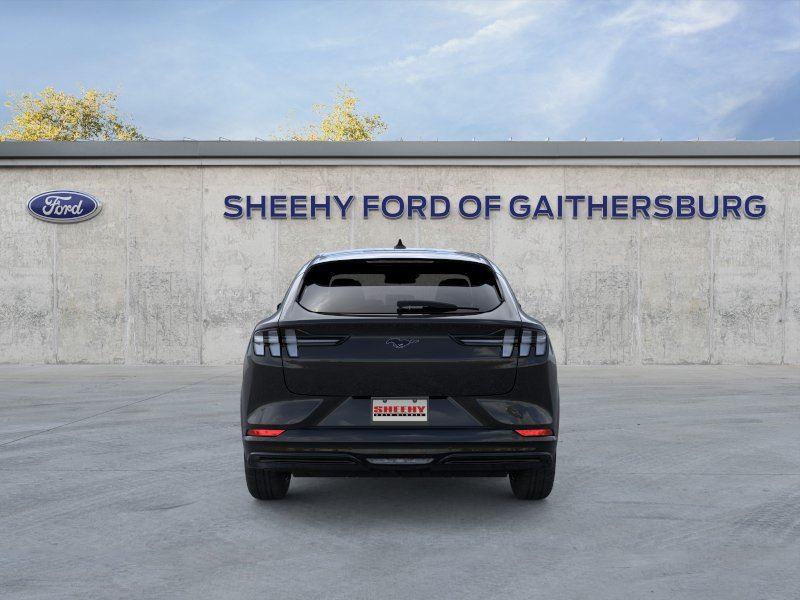 New 2025 Shadow Black Ford Premium image 5