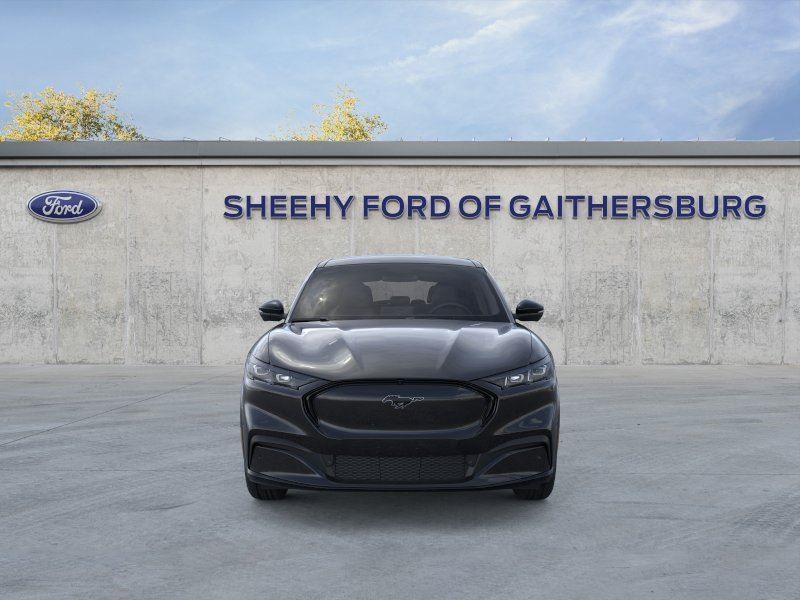 New 2025 Shadow Black Ford Premium image 6