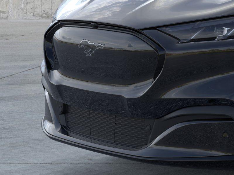 New 2025 Shadow Black Ford Premium image 17