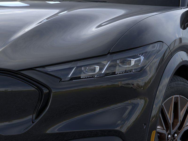 New 2025 Shadow Black Ford Premium image 18