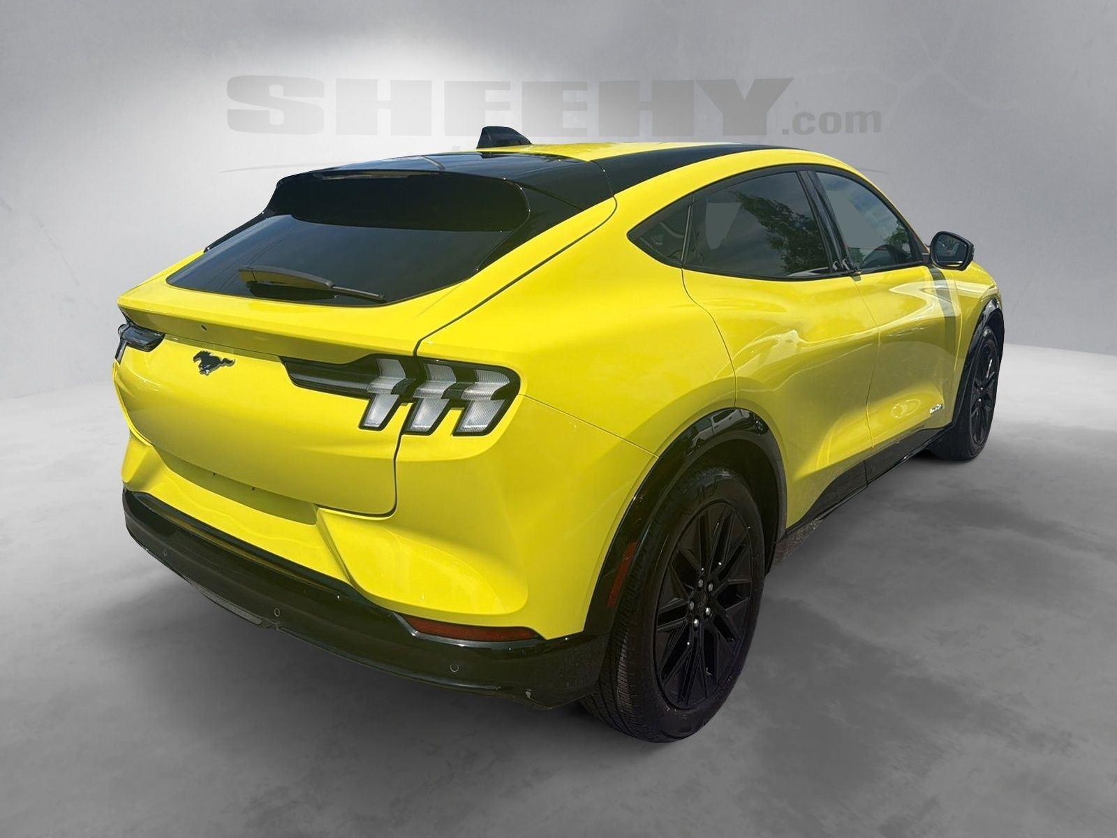 Used 2025 Yellow Ford Premium image 12