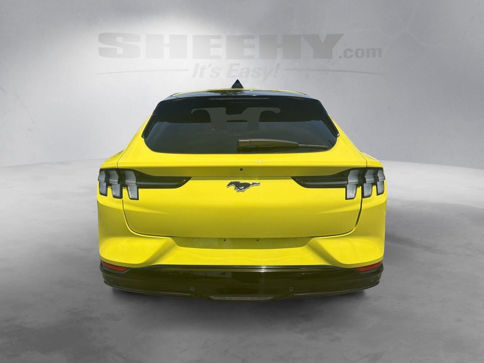 Used 2025 Yellow Ford Premium image 13