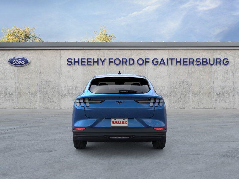 New 2026 Velocity Blue Metallic Ford Premium image 5
