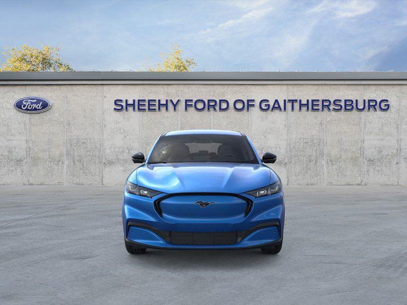 New 2026 Velocity Blue Metallic Ford Premium image 6
