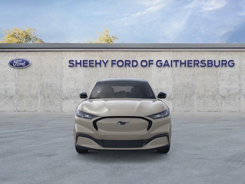 New 2026 Desert Sand Ford Premium image 6