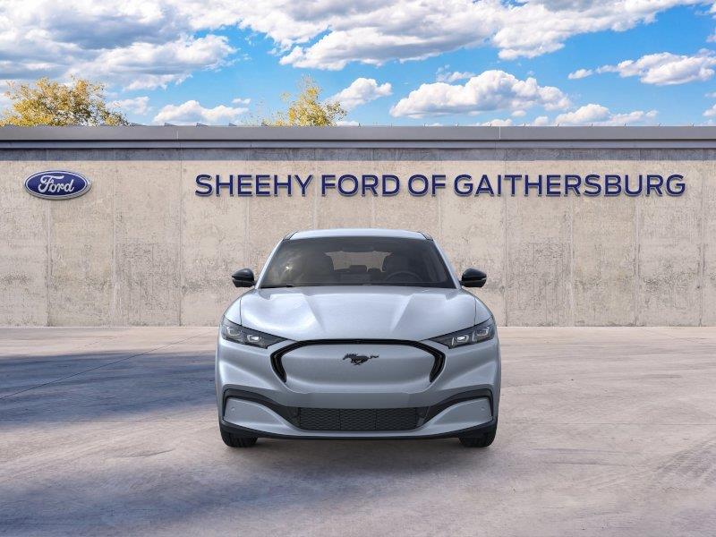 New 2026 Glacier Gray Metallic Tri-coat Ford Premium image 6