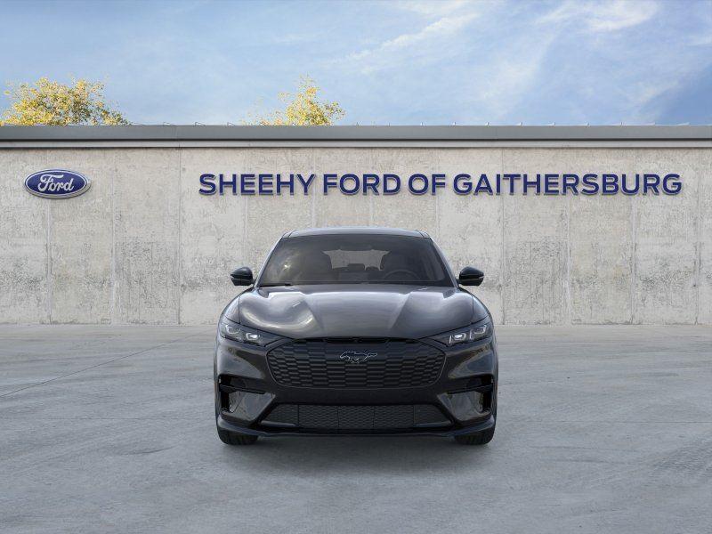 New 2026 Shadow Black Ford GT image 6