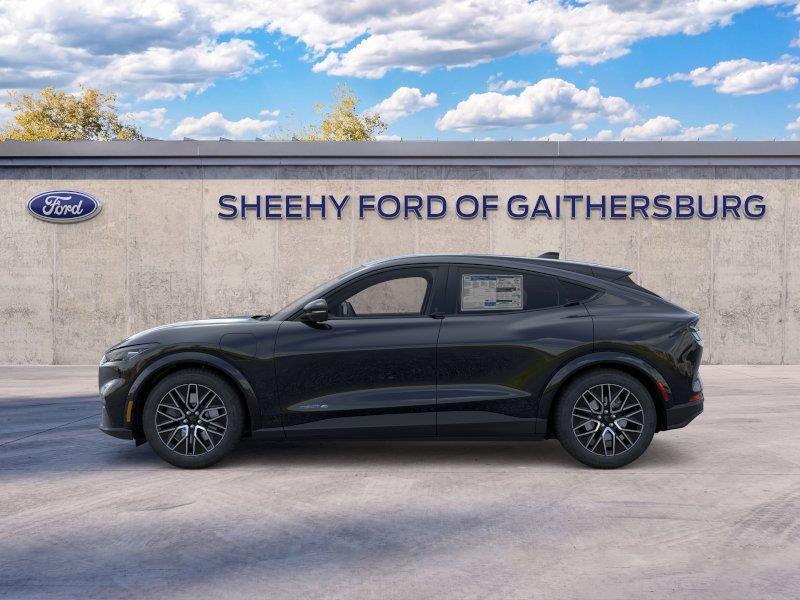 New 2026 Shadow Black Ford Premium image 3