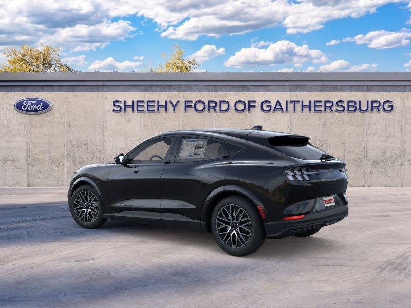 New 2026 Shadow Black Ford Premium image 4