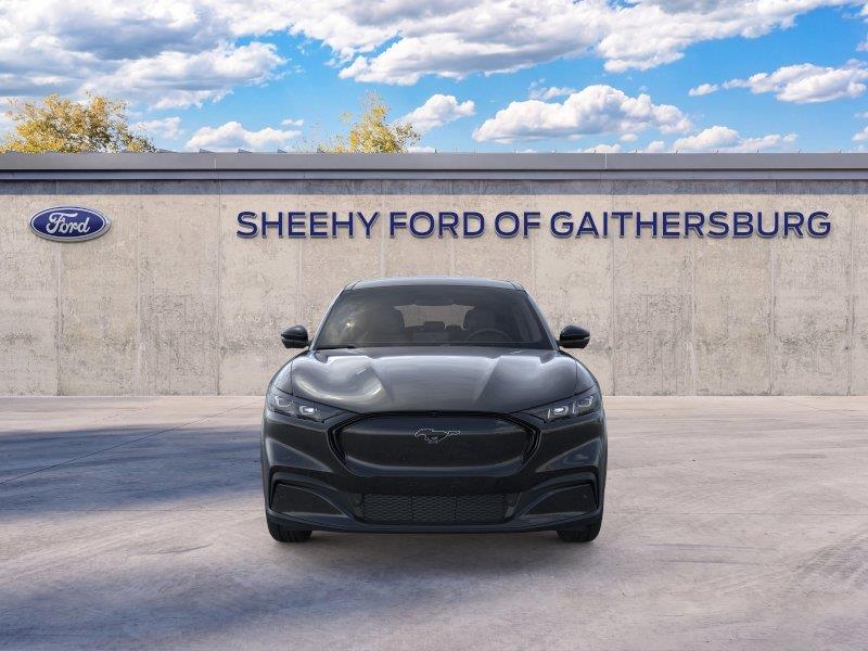 New 2026 Shadow Black Ford Premium image 6