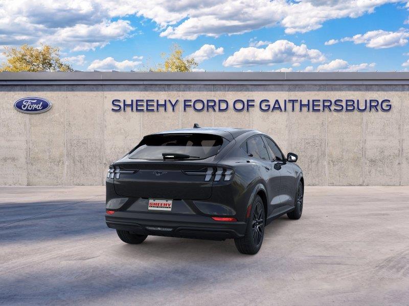 New 2026 Shadow Black Ford Premium image 8