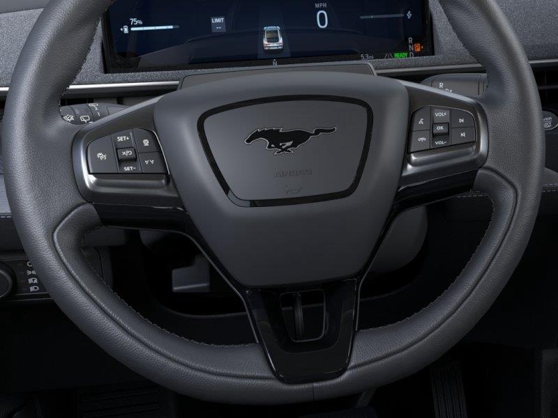 New 2026 Shadow Black Ford Premium image 12
