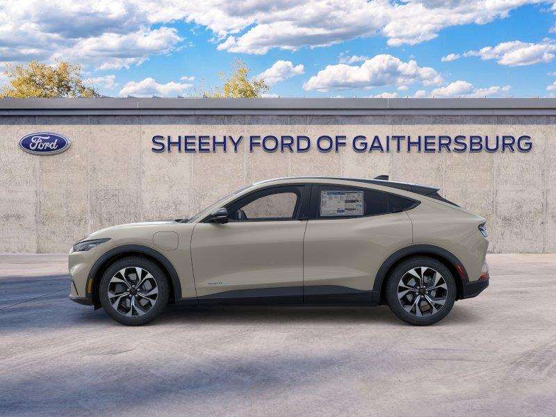 New 2026 Desert Sand Ford Select image 3