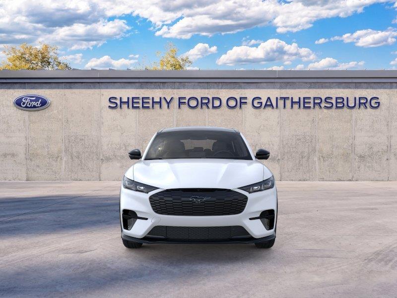 New 2026 Star White Metallic Tri-coat Ford Premium image 6