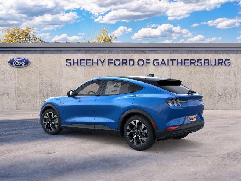 New 2026 Velocity Blue Metallic Ford Select image 4