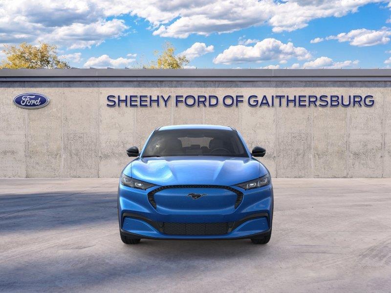 New 2026 Velocity Blue Metallic Ford Select image 6
