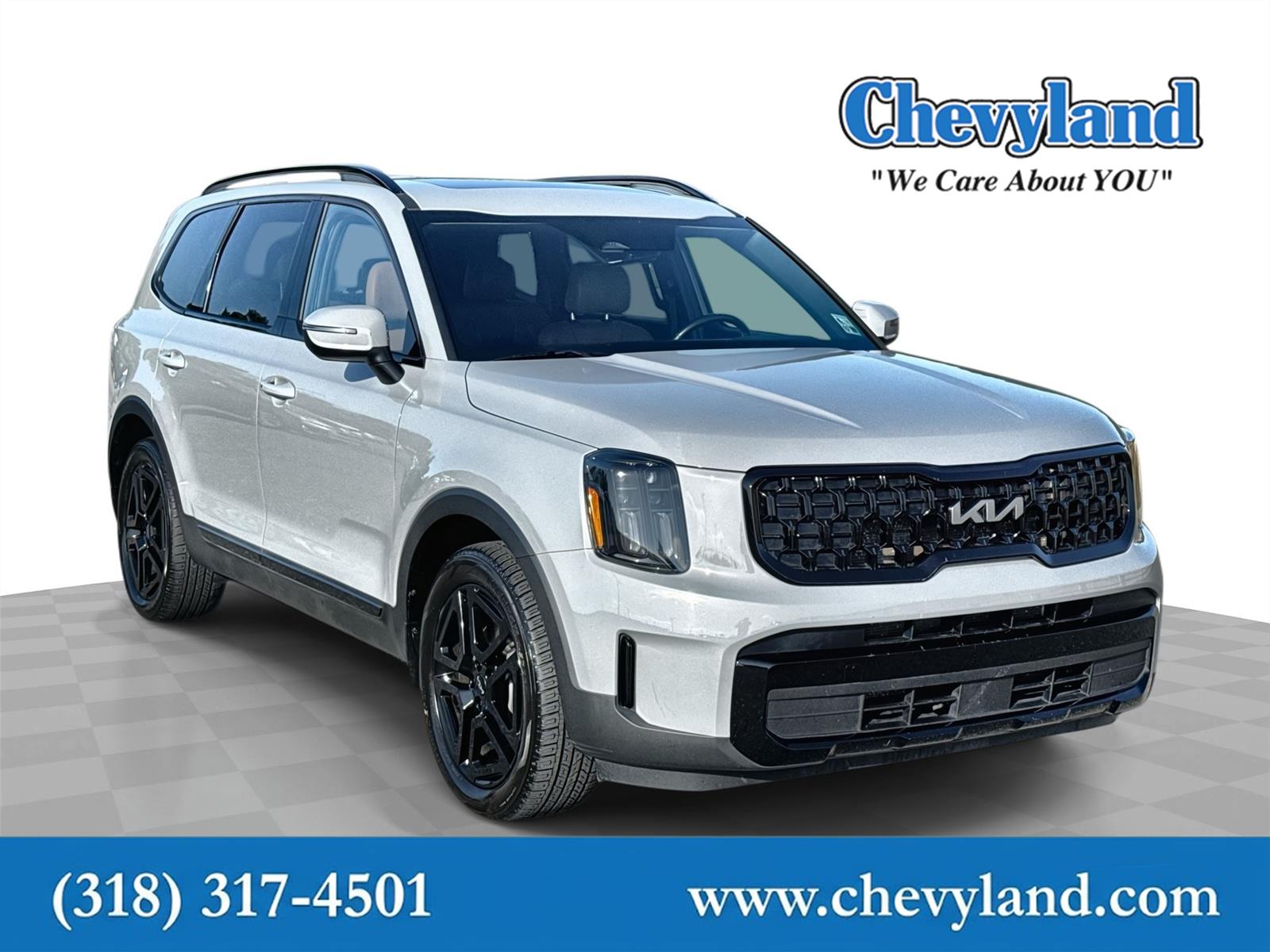 Wolf Gray 2024 Kia Telluride SUV / Crossover All-Wheel Drive Automatic