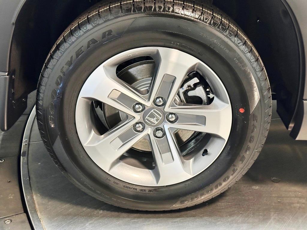 2026 Honda Pilot EX-L - WHITE exterior view 10