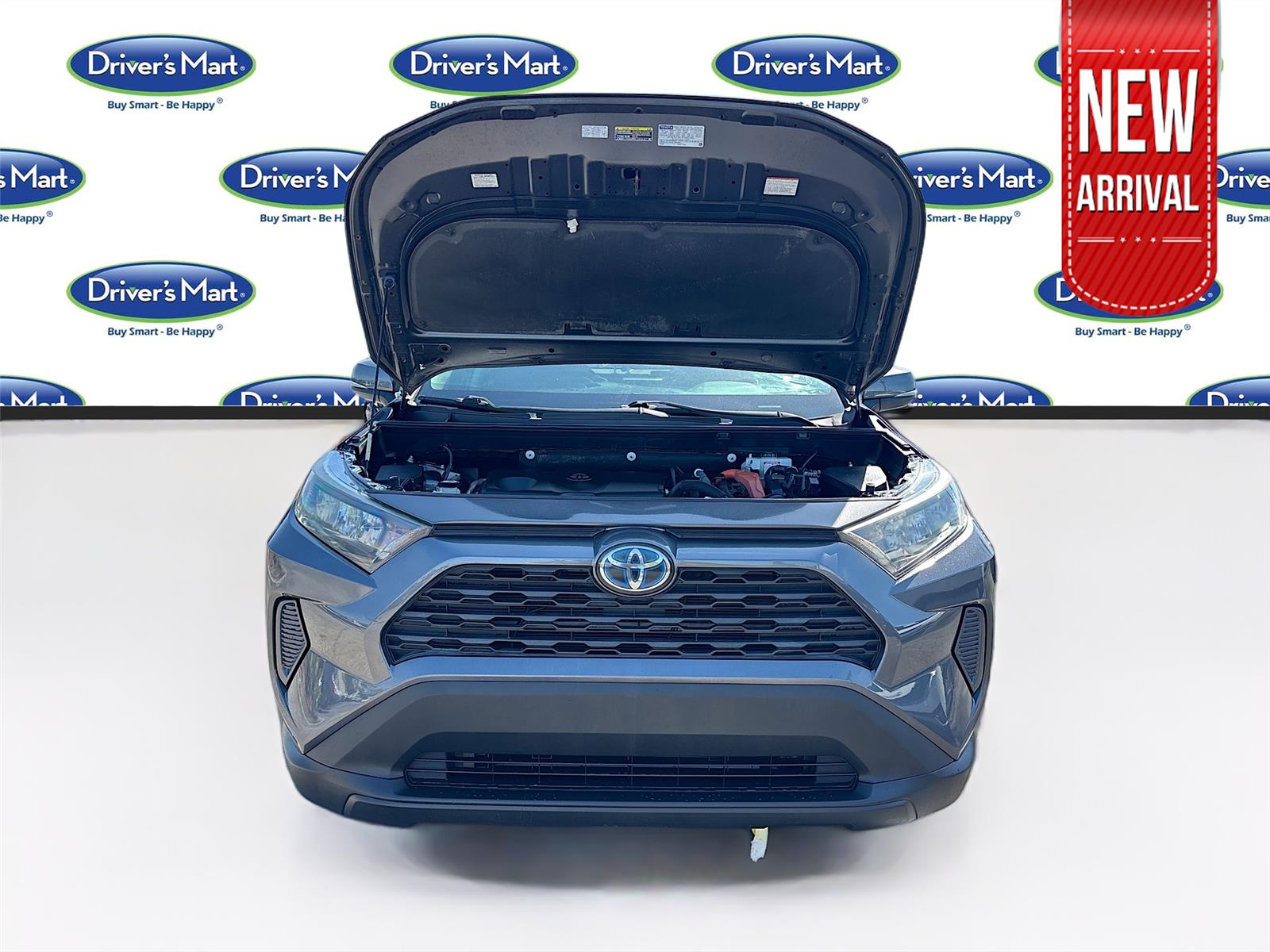 2019 Toyota RAV4 Hybrid LE