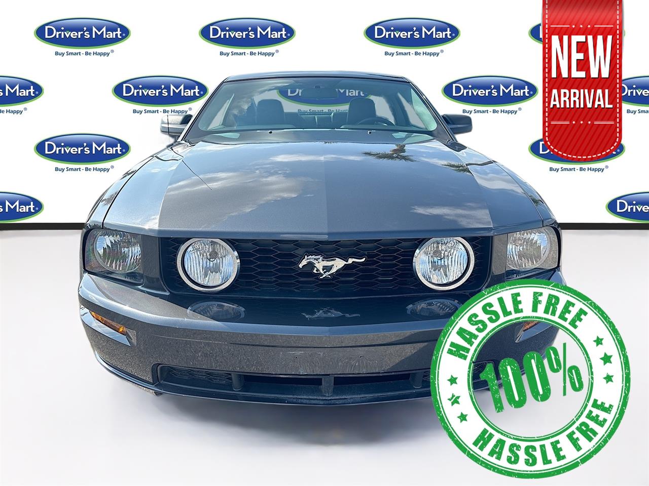 2007 FORD MUSTANG GT