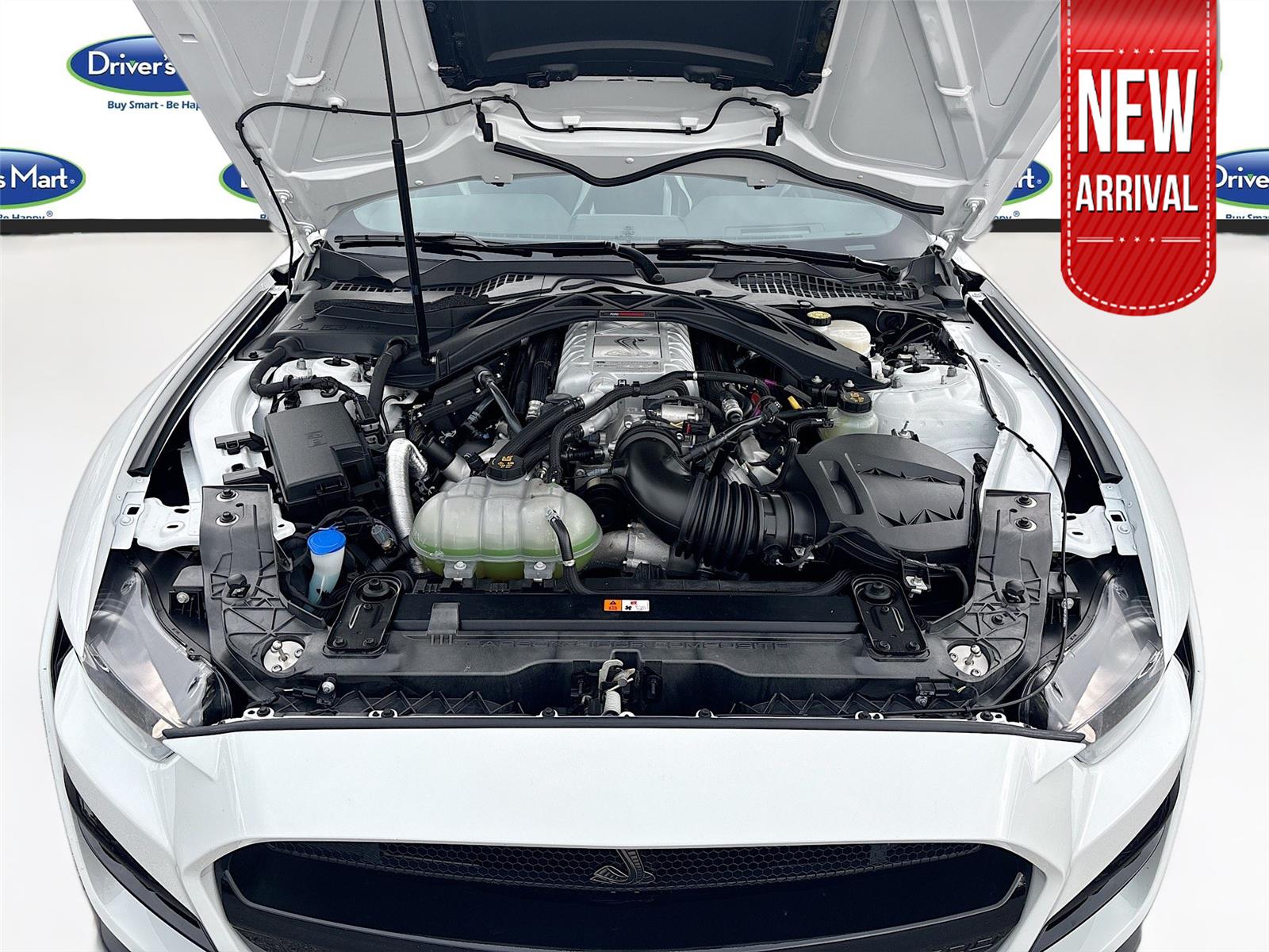 2021 Ford Mustang Shelby GT500