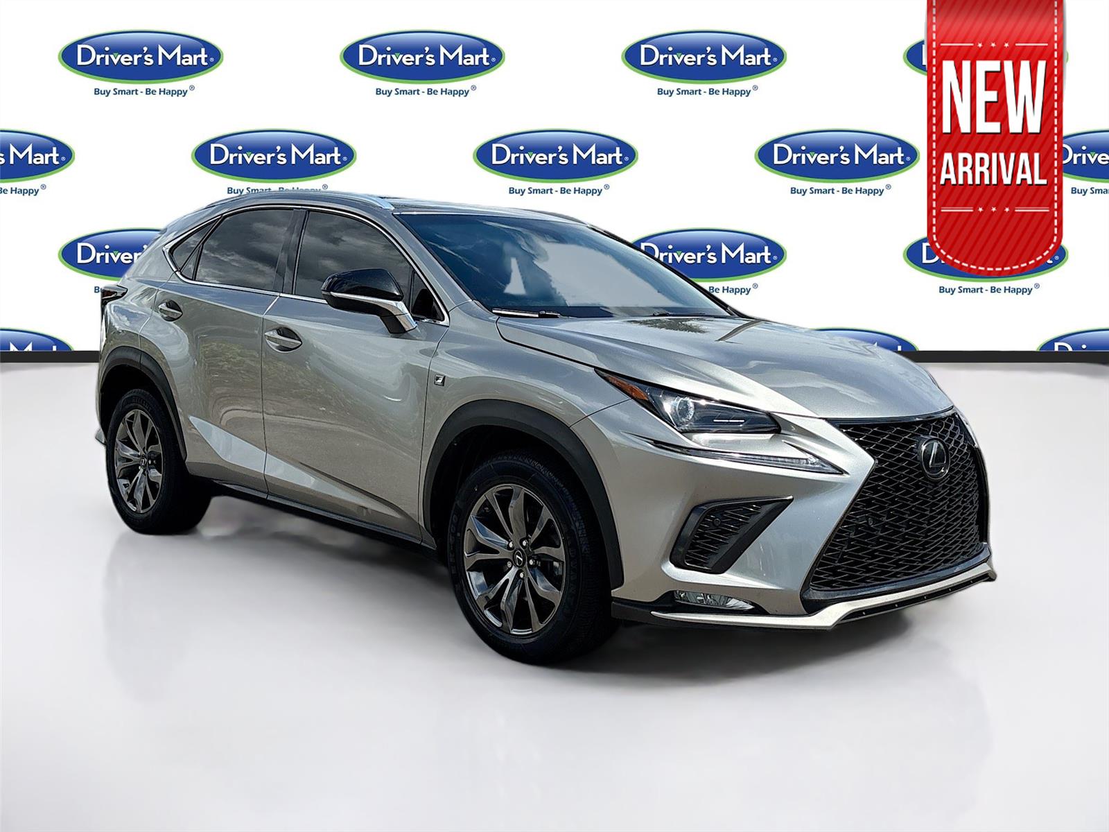 2019 Lexus NX NX 300 F SPORT