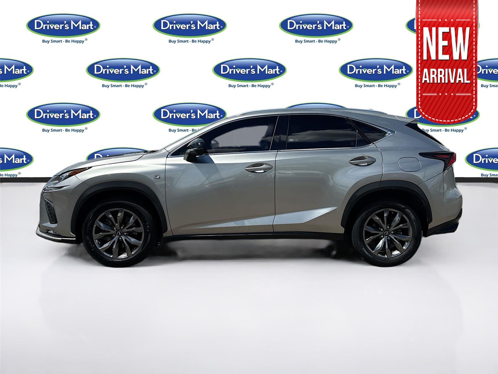 2019 Lexus NX NX 300 F SPORT