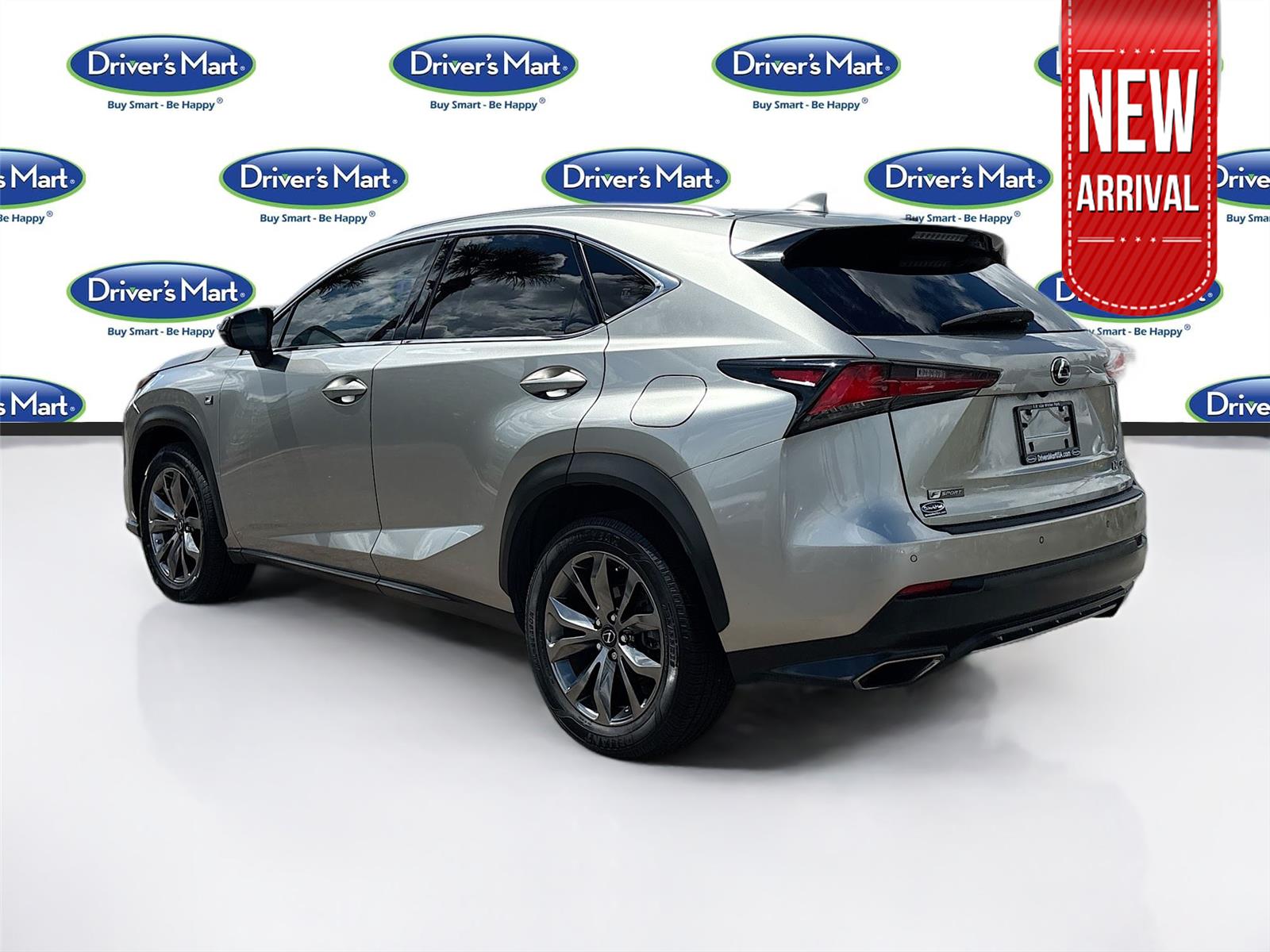 2019 Lexus NX NX 300 F SPORT