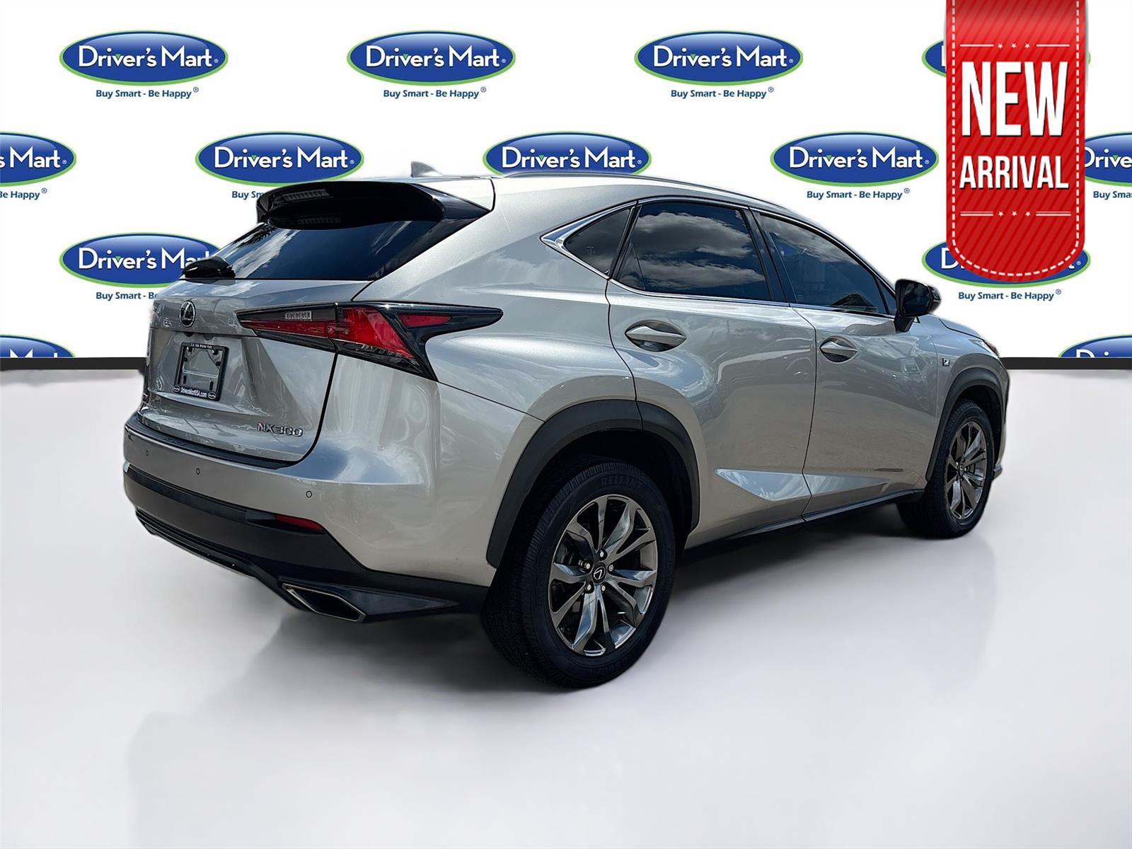 2019 Lexus NX NX 300 F SPORT