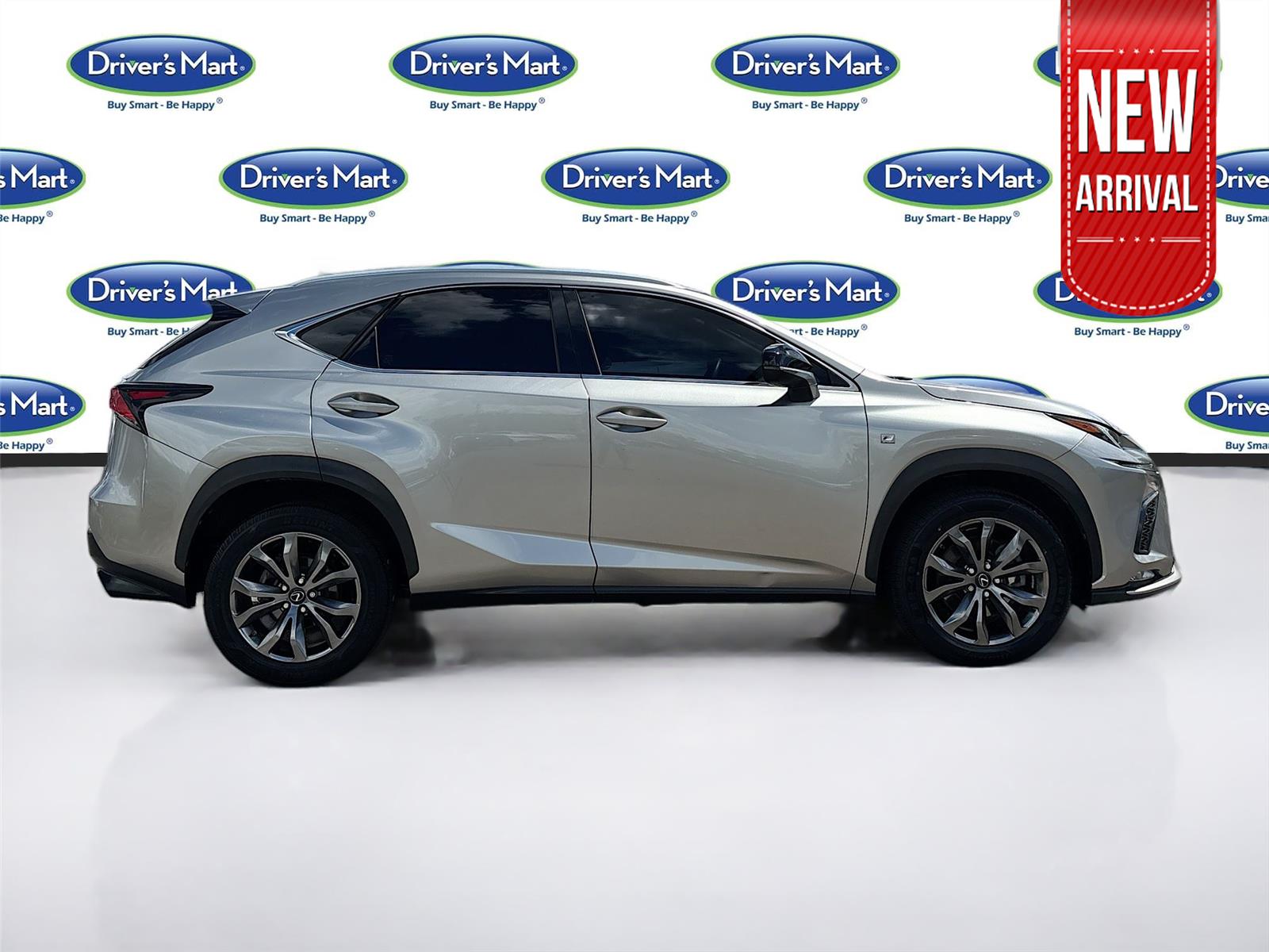 2019 Lexus NX NX 300 F SPORT