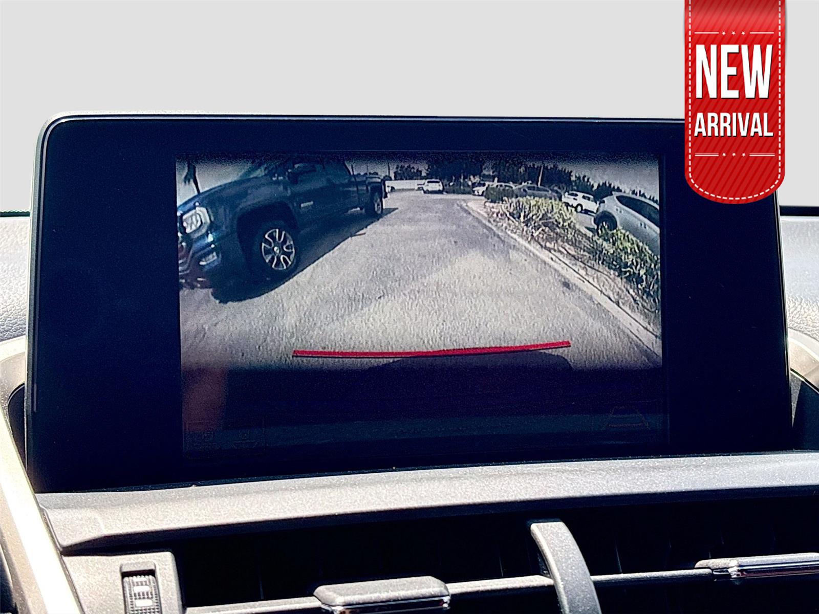2019 Lexus NX NX 300 F SPORT