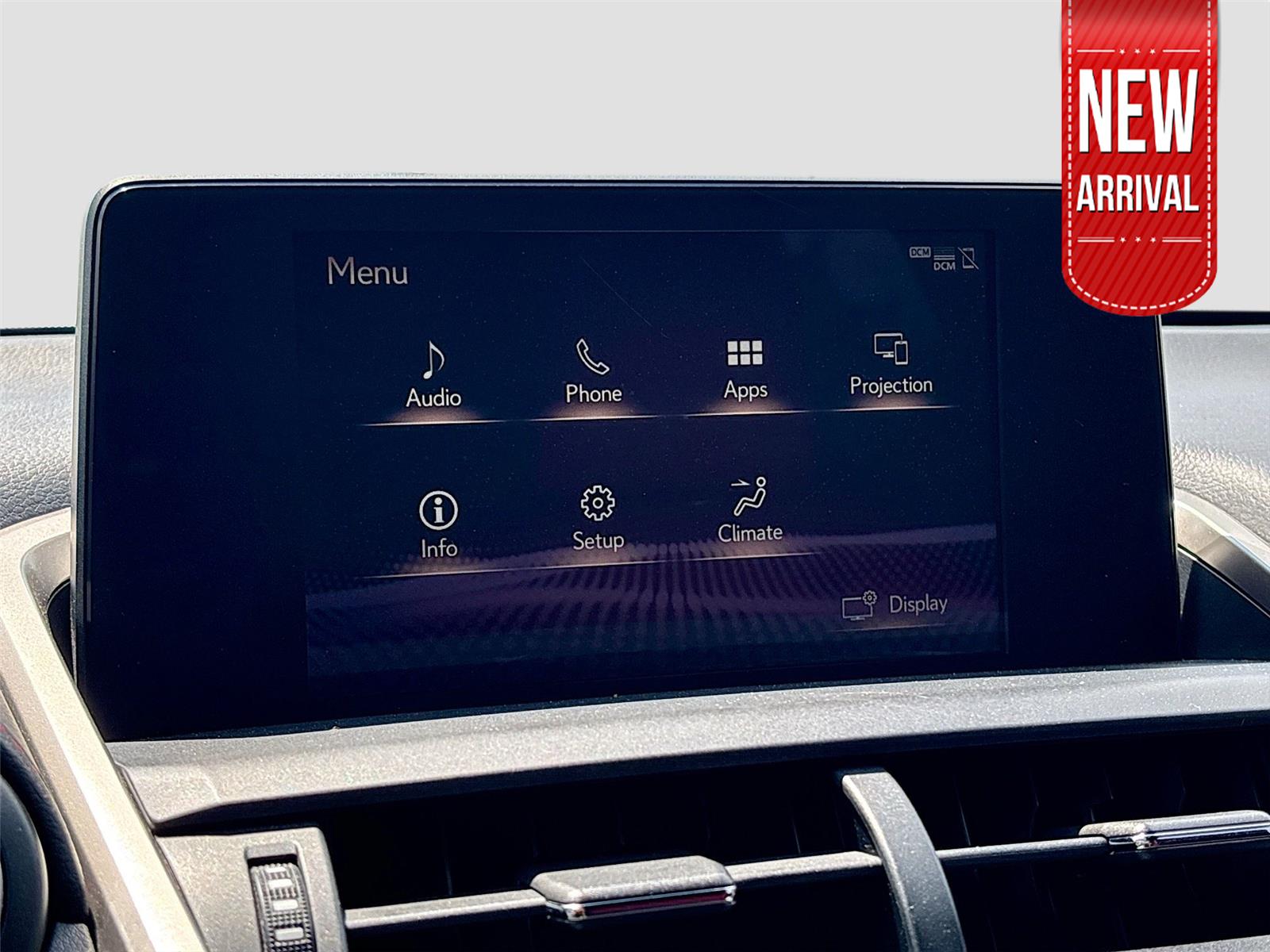 2019 Lexus NX NX 300 F SPORT